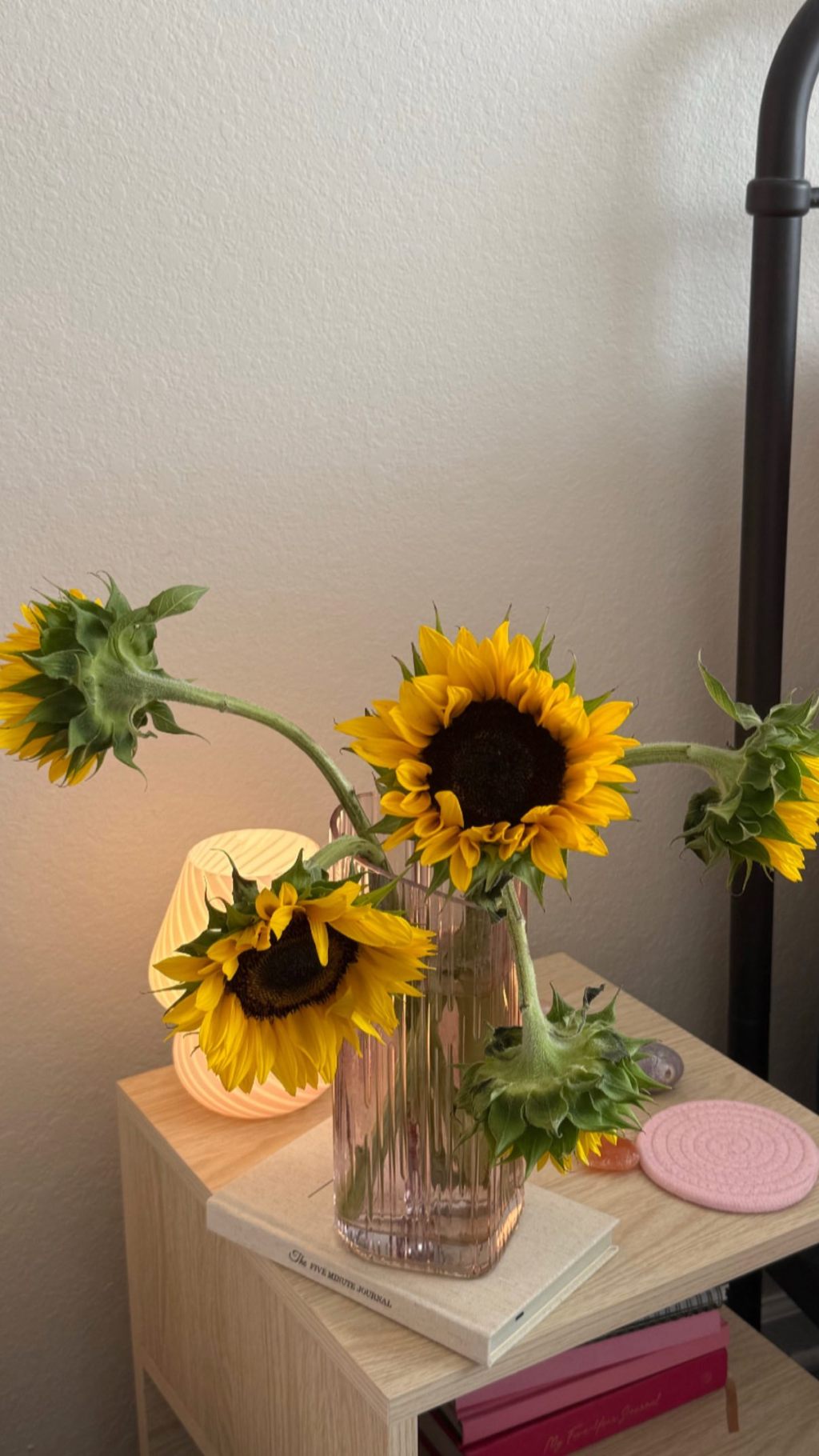 navigating sexual trauma