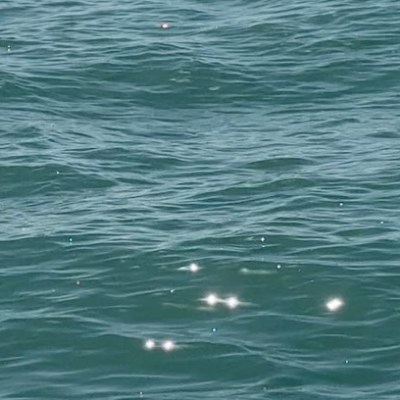 You’re Not Sad. You Just Need to&nbsp;Create.